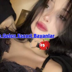 Öğrenci Escort